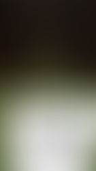 Player holding 7-2 offsuit in Pokerrrr2 during a Seven-Deuce bounty hand